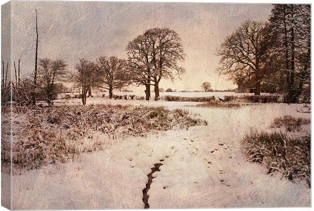 snow near chiddingstone causeway, kent Canvas Print by Dawn Cox