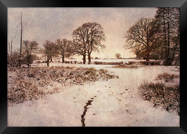 snow near chiddingstone causeway, kent Framed Print by Dawn Cox