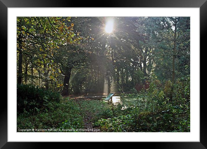 peeking through the trees Framed Mounted Print by malcolm fish