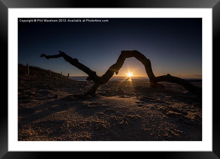 Bough before the sun Framed Mounted Print by Phil Wareham
