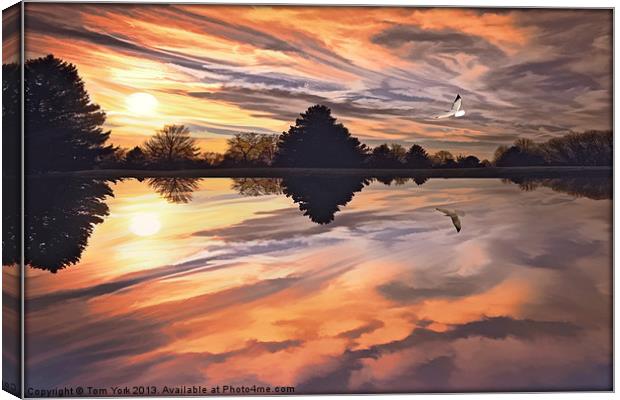 SUNSET IN AUTUMN Canvas Print by Tom York