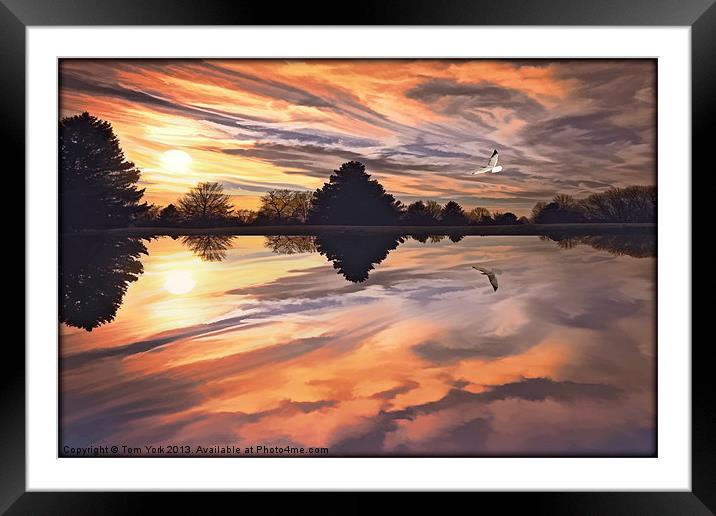 SUNSET IN AUTUMN Framed Mounted Print by Tom York