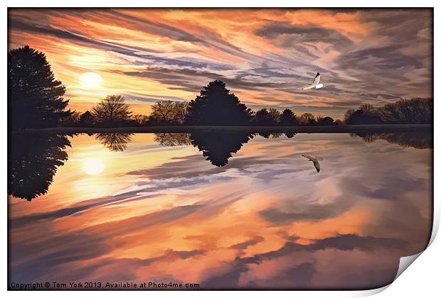 SUNSET IN AUTUMN Print by Tom York