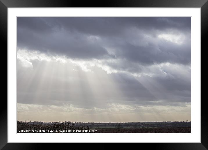 A little ray of light Framed Mounted Print by Avril Harris