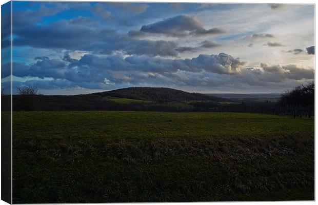 french hills Canvas Print by Jo Beerens