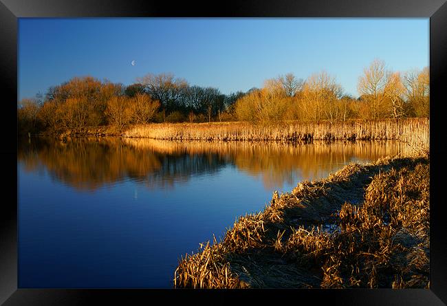 Denaby Ings Nature Reserve Framed Print by Darren Galpin