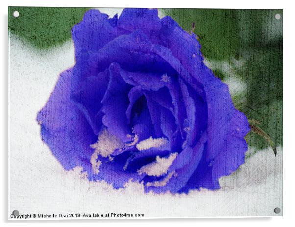 Cold Blue Rose Acrylic by Michelle Orai
