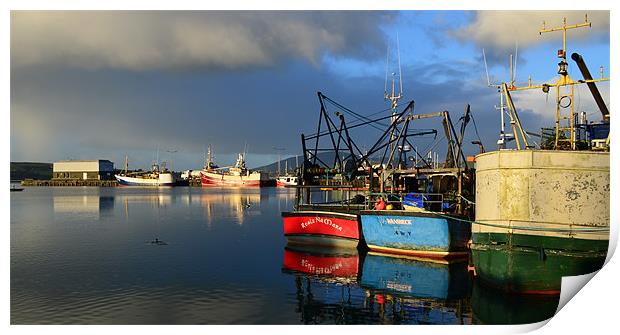 Dingle Harbor Print by barbara walsh