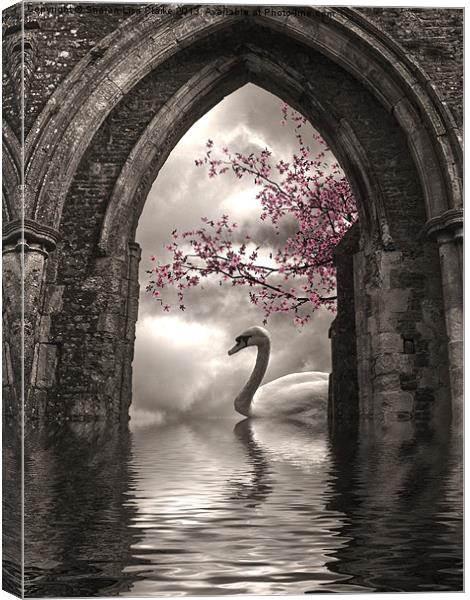 Archway to Heaven Canvas Print by Sharon Lisa Clarke