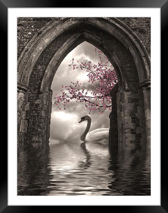Archway to Heaven Framed Mounted Print by Sharon Lisa Clarke