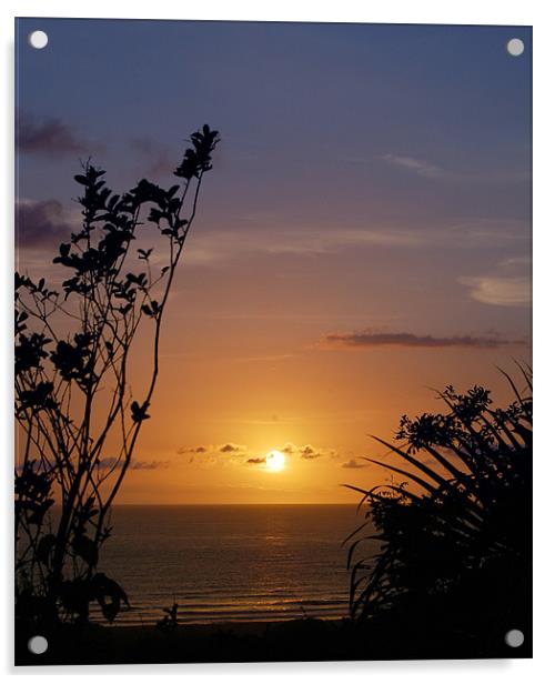 Nearing Sunset in Costa Rica Acrylic by james balzano, jr.