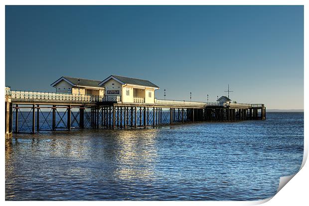 Penarth Pier Print by Steve Purnell