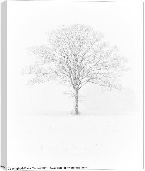 Tree in the Snow, Wramplingham, Norfolk Canvas Print by Dave Turner