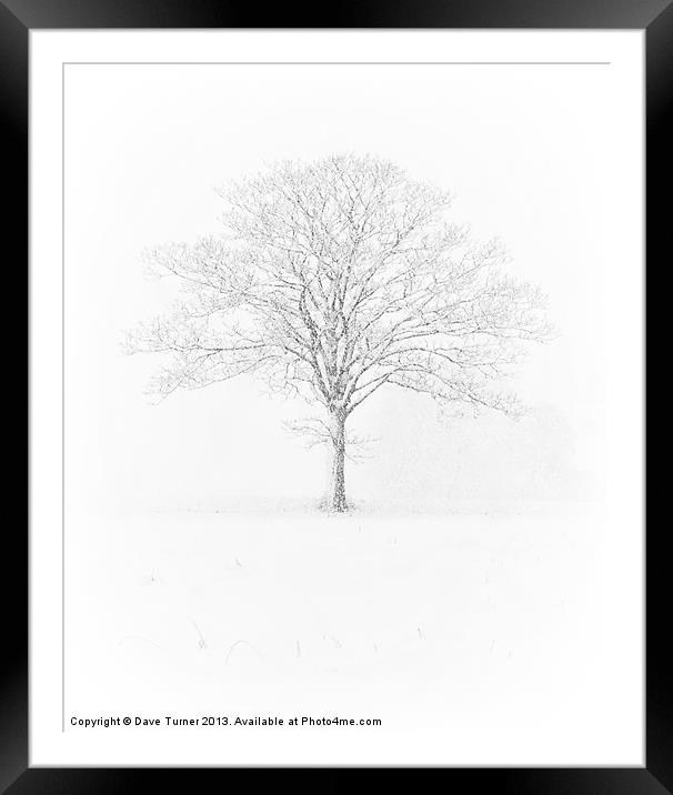 Tree in the Snow, Wramplingham, Norfolk Framed Mounted Print by Dave Turner