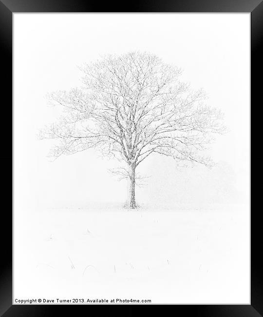 Tree in the Snow, Wramplingham, Norfolk Framed Print by Dave Turner