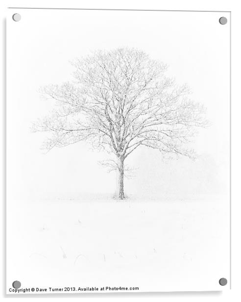 Tree in the Snow, Wramplingham, Norfolk Acrylic by Dave Turner