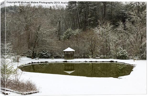 Snow at the Pond Canvas Print by Michael Waters Photography