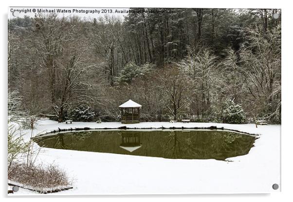 Snow at the Pond Acrylic by Michael Waters Photography