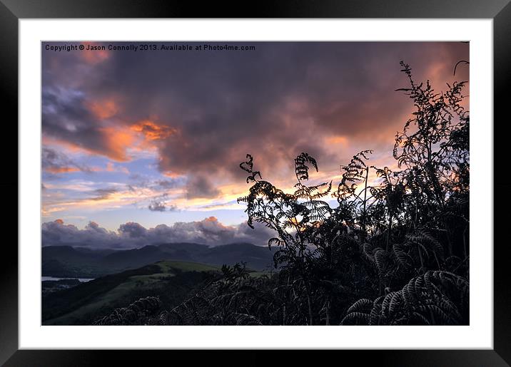 Ferns At Sunset Framed Mounted Print by Jason Connolly