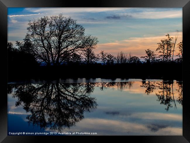 The Tree Framed Print by simon plumridge