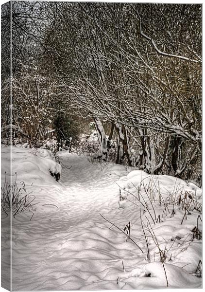 The snow path Canvas Print by Steve Purnell