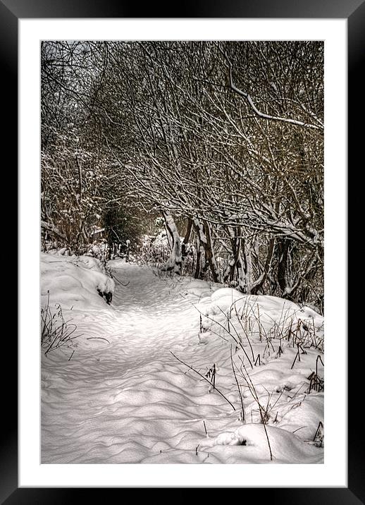 The snow path Framed Mounted Print by Steve Purnell