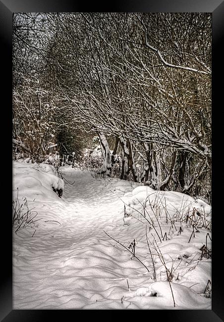 The snow path Framed Print by Steve Purnell