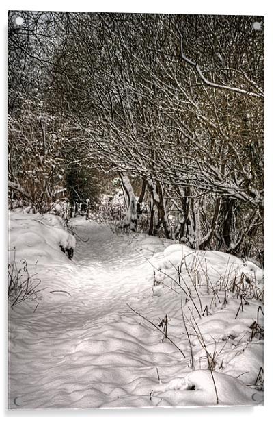 The snow path Acrylic by Steve Purnell
