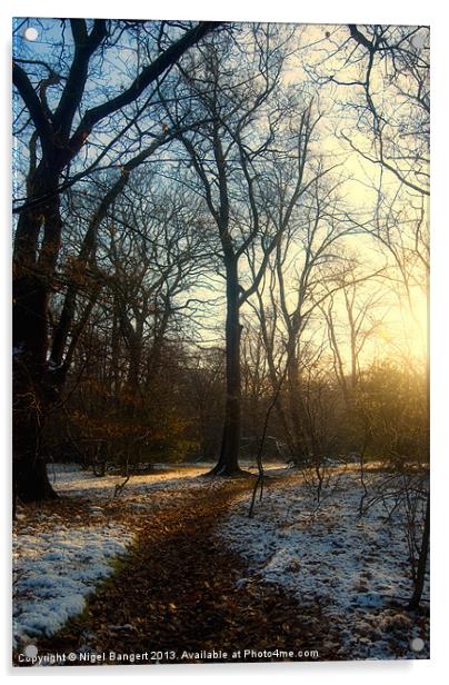 Winter Path Acrylic by Nigel Bangert