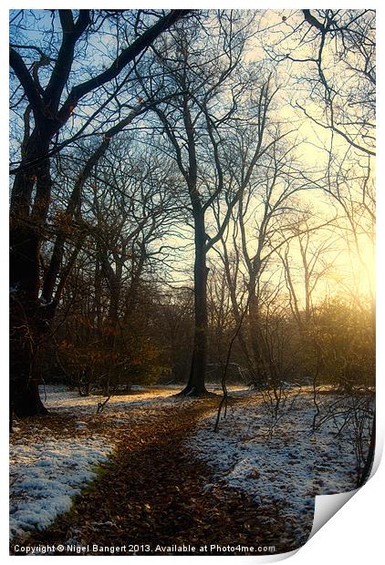 Winter Path Print by Nigel Bangert