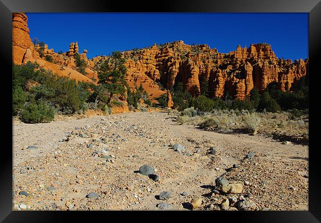 Dry river bed and orange rock towers Framed Print by Claudio Del Luongo