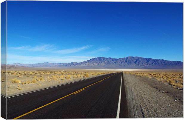Highway through the desert, Nevada Canvas Print by Claudio Del Luongo