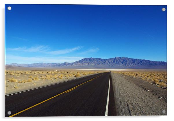 Highway through the desert, Nevada Acrylic by Claudio Del Luongo