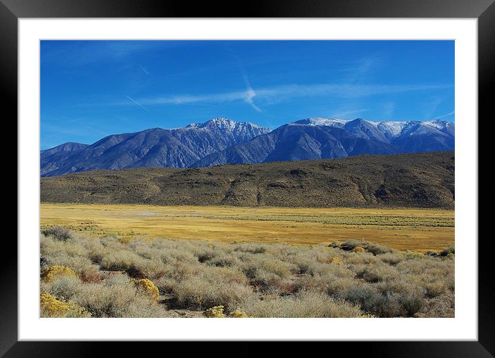 High desert and snowy mountains Framed Mounted Print by Claudio Del Luongo