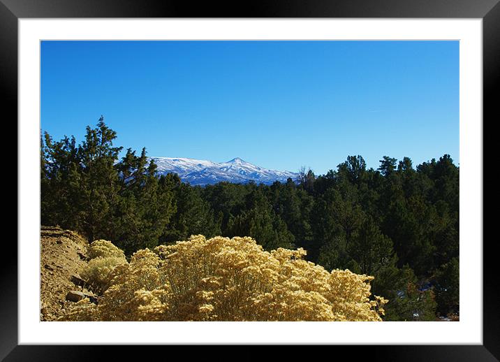 High desert, high mountains, Nevada Framed Mounted Print by Claudio Del Luongo