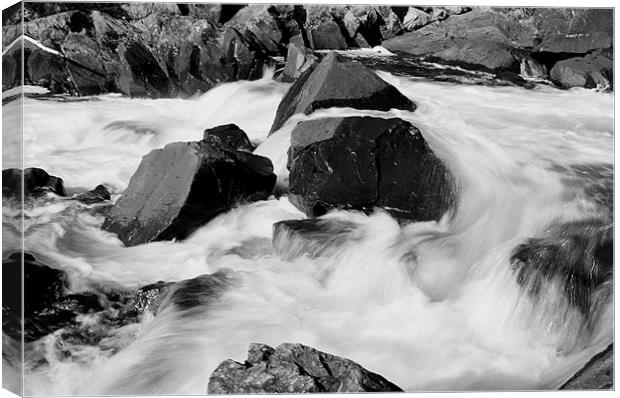 Rushing water  Canvas Print by Donna-Marie Parsons