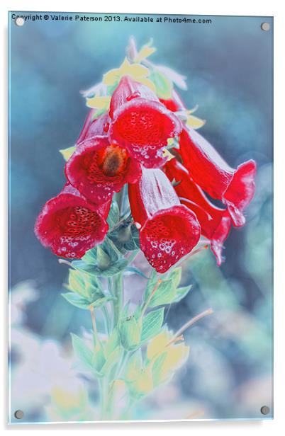 Foxglove in Red Acrylic by Valerie Paterson