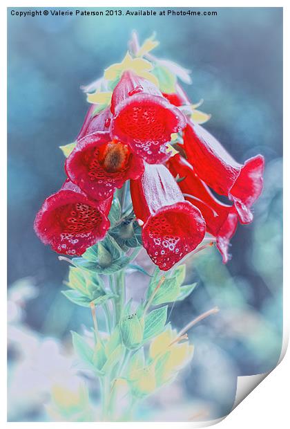 Foxglove in Red Print by Valerie Paterson