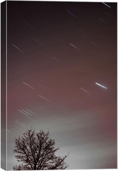 Star trails Canvas Print by