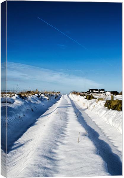 The once busy lane; fallen victim. Canvas Print by