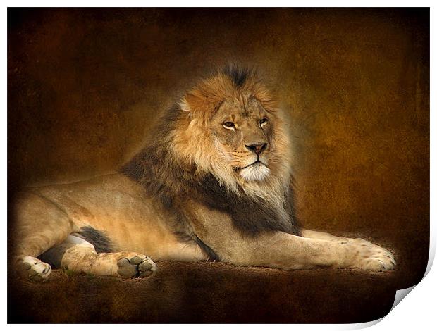 Lion Print by Debra Kelday