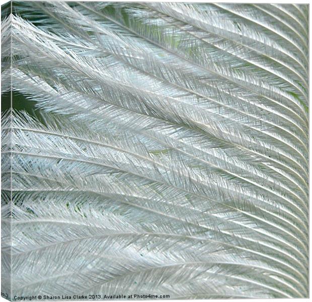 Feather Green Canvas Print by Sharon Lisa Clarke