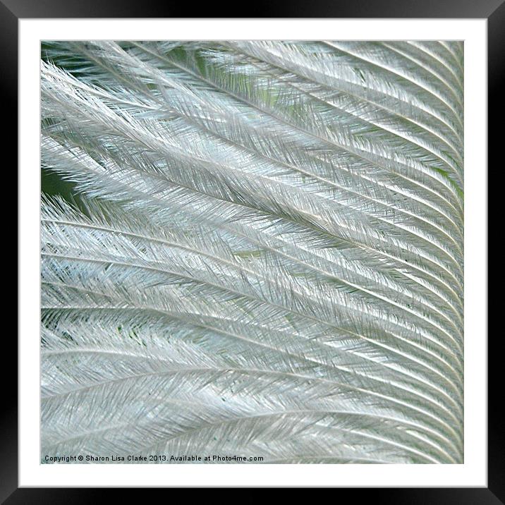 Feather Green Framed Mounted Print by Sharon Lisa Clarke