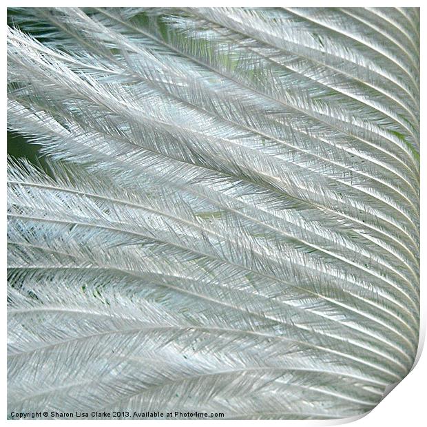 Feather Green Print by Sharon Lisa Clarke