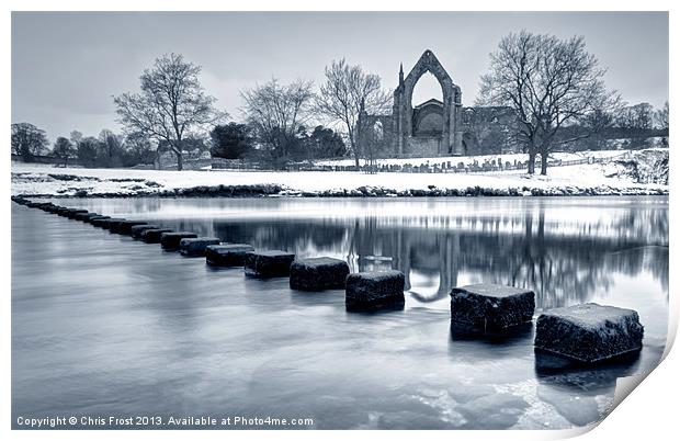 Bolton Abbey Reflections Print by Chris Frost