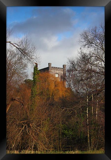 Aberagevnny Castle through the trees Framed Print by simon powell