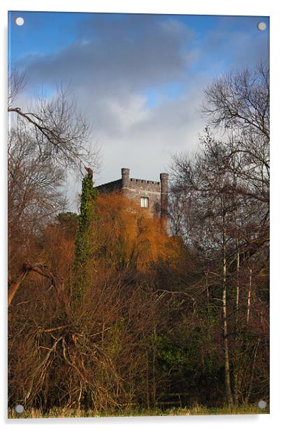 Aberagevnny Castle through the trees Acrylic by simon powell