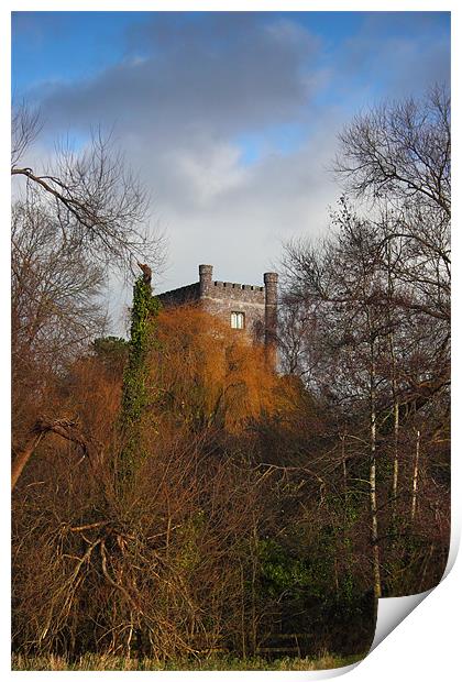 Aberagevnny Castle through the trees Print by simon powell