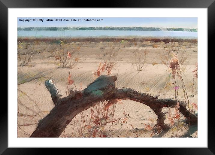 Driftwood Framed Mounted Print by Betty LaRue