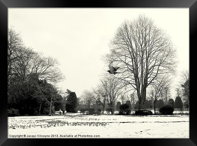 Snowy Day in the Park Framed Print by Jacqui Kilcoyne